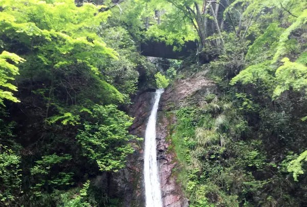 秩父華厳の滝の写真・動画_image_84438