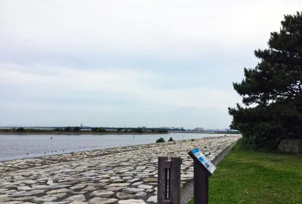 江戸川の写真・動画_image_84471