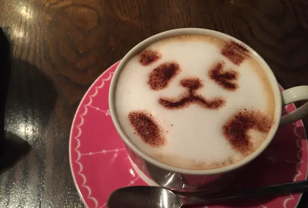 ぱんだ珈琲店の写真・動画_image_84540