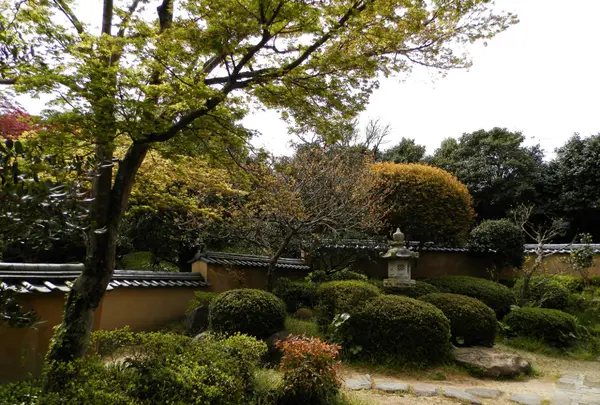 中根邸の写真・動画_image_84563