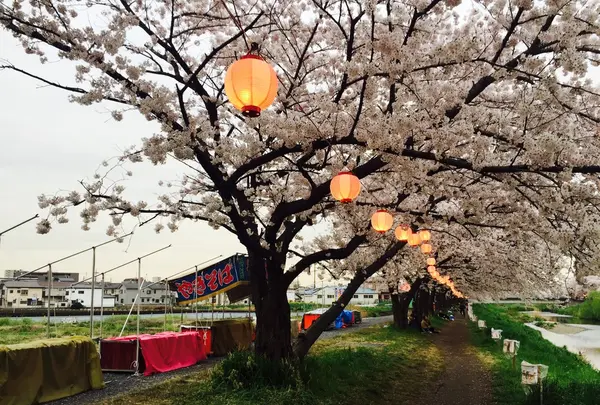 埼玉県朝霞県土整備事務所の写真・動画_image_84627