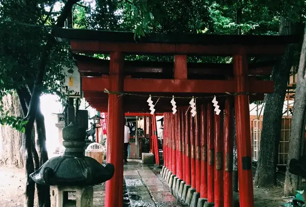 花園神社の写真・動画_image_84796
