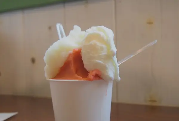 トイトイトイの写真・動画_image_84867