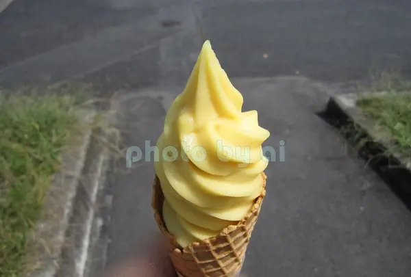 道の駅みわの写真・動画_image_84880