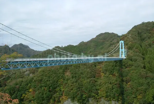 道の駅さとみの写真・動画_image_84947
