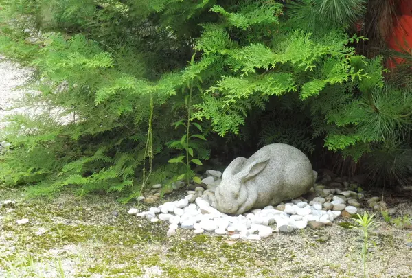 宇治神社の写真・動画_image_84963