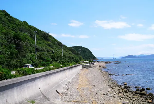 緑の道しるべ 阿那賀公園の写真・動画_image_85014