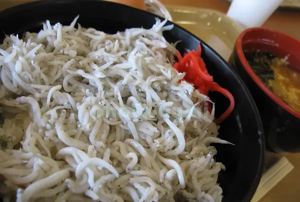 道の駅みぶの写真・動画_image_85027