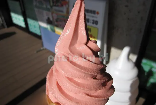 道の駅みぶの写真・動画_image_85029