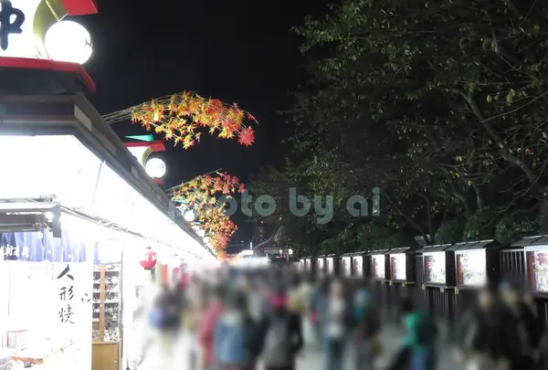 浅草寺の写真・動画_image_85085