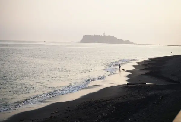 七里ヶ浜の写真・動画_image_85161