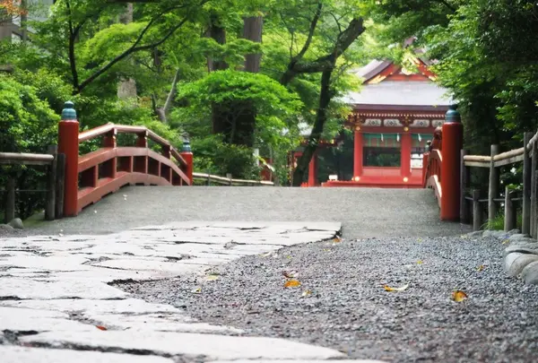 鶴岡八幡宮の写真・動画_image_85191