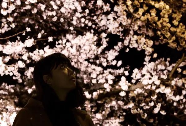 川越市の写真・動画_image_85327