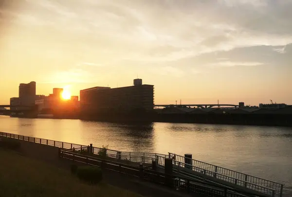 隅田川の写真・動画_image_85329