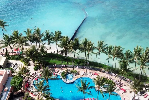 ホノルルの写真・動画_image_85569