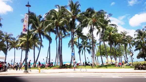 Segway of Hawaiiの写真・動画_image_85607