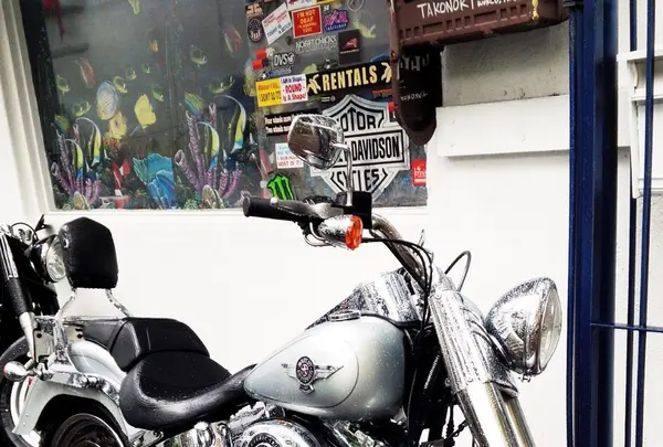 マカプウ・ポイントの写真・動画_image_85610