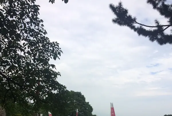 名胡桃城址の写真・動画_image_85735