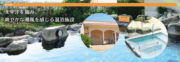 長井海の手公園ソレイユの丘の写真・動画_image_85997