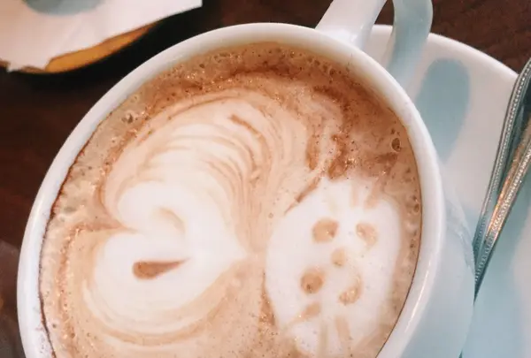 cafe&lounge ANALOG SHINJUKUの写真・動画_image_86062