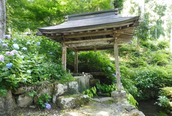 長滝白山神社の写真・動画_image_86273