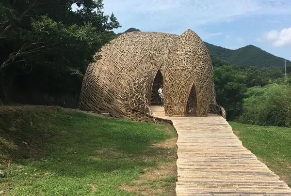 【077】オリーブの夢
