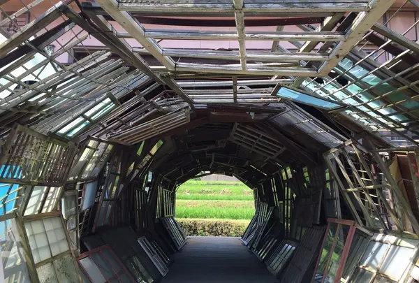 豊島の写真・動画_image_86304