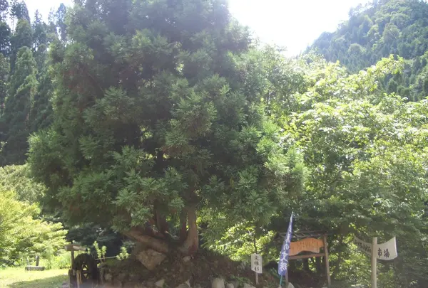 福知ふれあい市場の写真・動画_image_86316