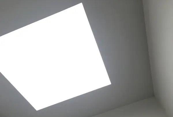 金沢21世紀美術館の写真・動画_image_86801