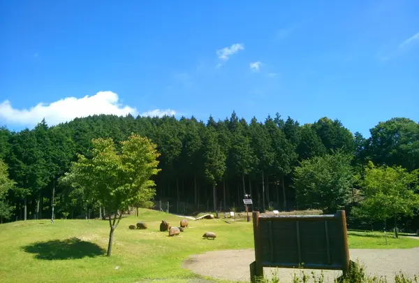 県立国見の森公園の写真・動画_image_86915