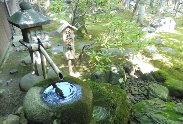 慈恩禅寺の写真・動画_image_87109