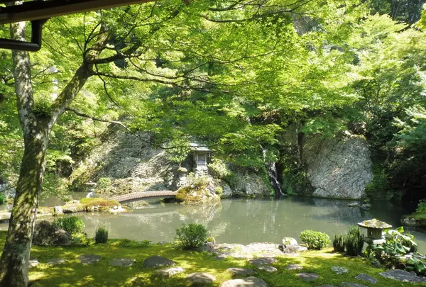 慈恩禅寺の写真・動画_image_87111