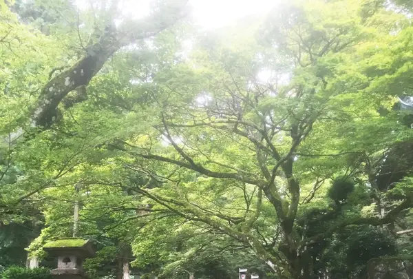 大雄山最乗寺の写真・動画_image_87121