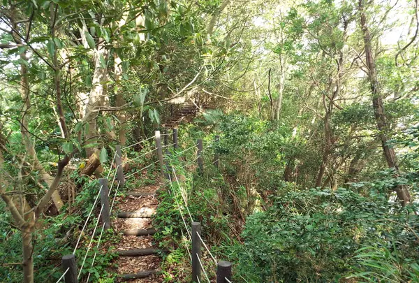 阿尾城跡の写真・動画_image_87158