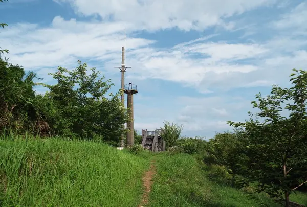 阿尾城跡の写真・動画_image_87159