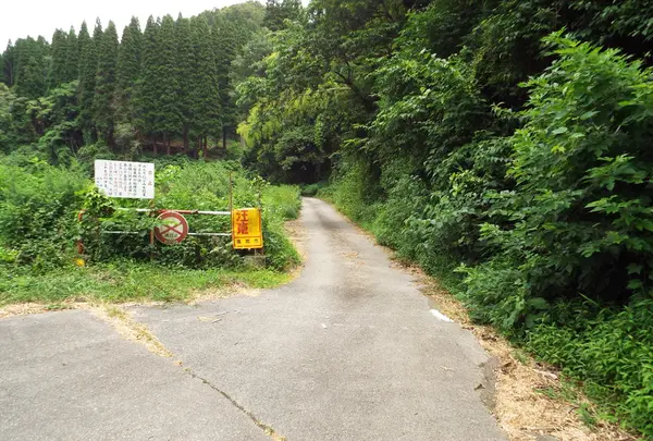 頭川トンネルの写真・動画_image_87160