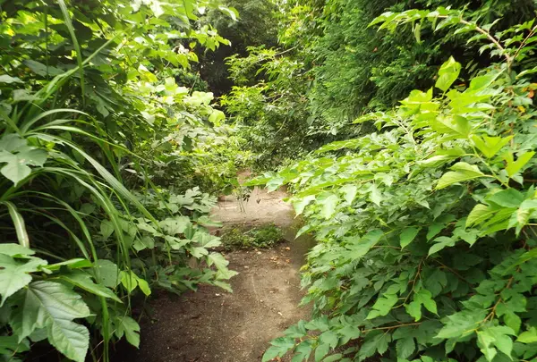 頭川トンネルの写真・動画_image_87161