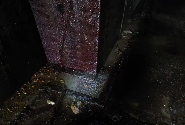 頭川トンネルの写真・動画_image_87163