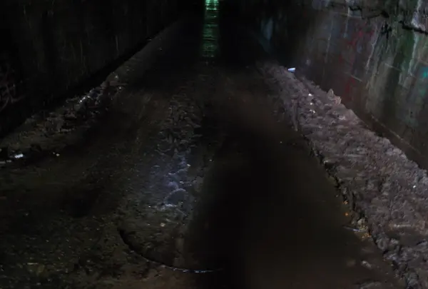 頭川トンネルの写真・動画_image_87164