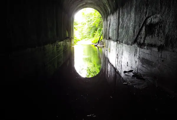 頭川トンネルの写真・動画_image_87165