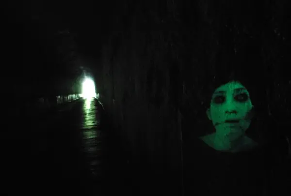 頭川トンネルの写真・動画_image_87168