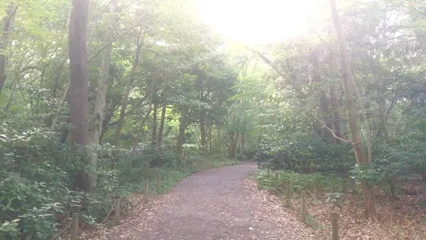 金沢城公園の写真・動画_image_87172