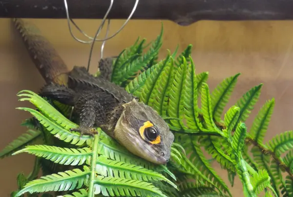 魚津水族博物館の写真・動画_image_87200