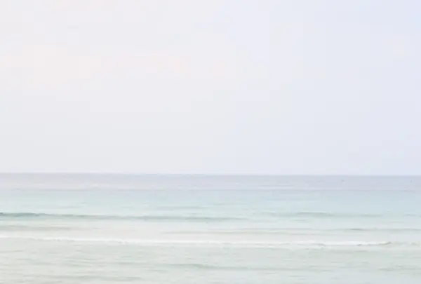 茂木浜海水浴場の写真・動画_image_87212