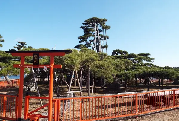 唐崎神社の写真・動画_image_87297
