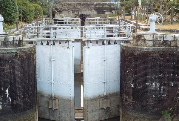 琵琶湖疏水の写真・動画_image_87302