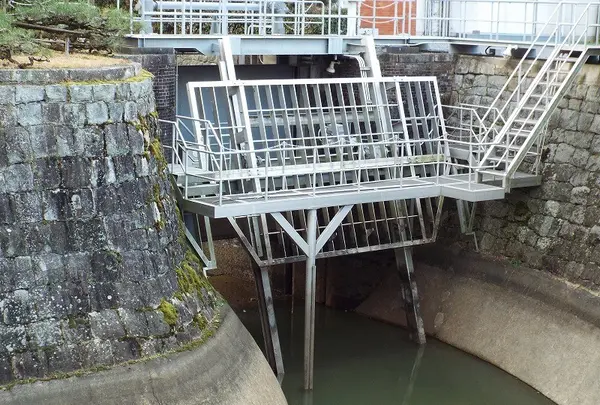 琵琶湖疏水の写真・動画_image_87304
