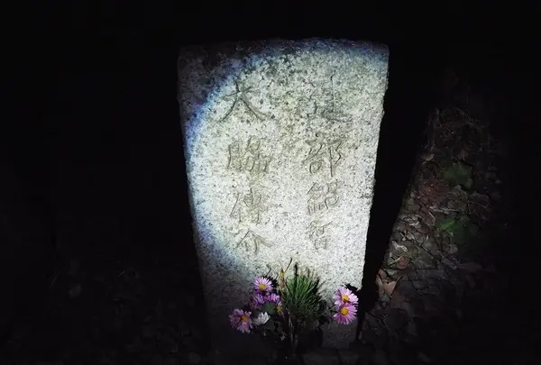 シガイの森の写真・動画_image_87339