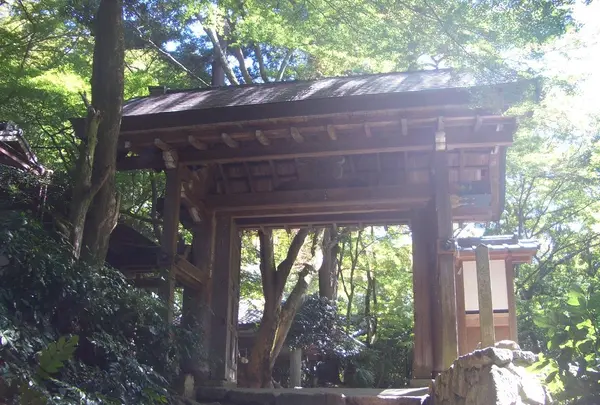 瑞宝寺公園の写真・動画_image_87343
