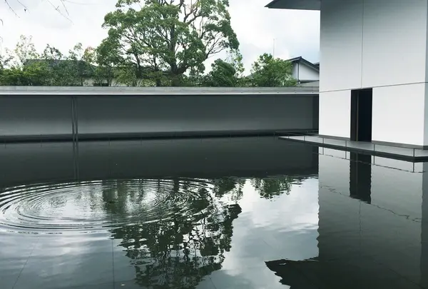鈴木大拙館の写真・動画_image_87365